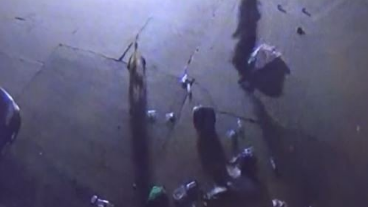 Gaziantep’teki 3. Pitbull saldırısında korku dolu anlar